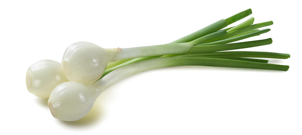 Season Green Onions