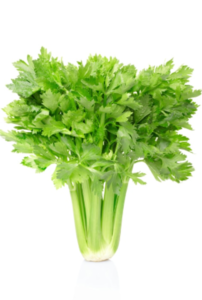 celery